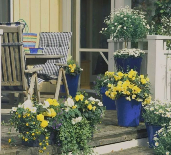 当前中国园艺业发展的现状你了解多少？ 